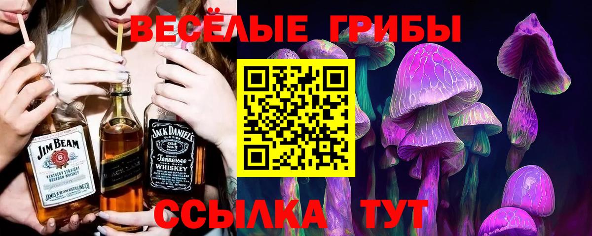 Тверь  где найти наркотики  Вход с VPN  Псилоцибиновые грибы Magic Shrooms 