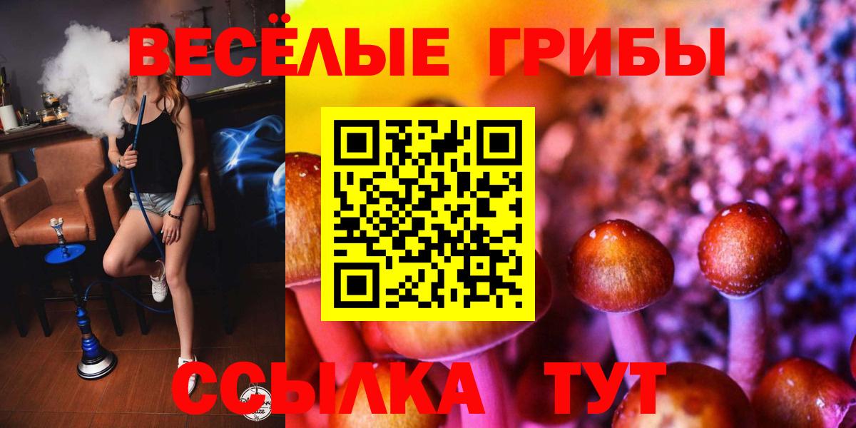 Псилоцибиновые грибы мицелий Тверь